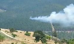 Bursa'da orman yangını!