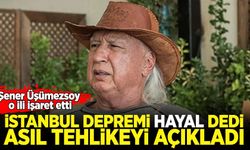 İstanbul depremi 'hayal' dedi, asıl tehlikeyi açıkladı: Şener Üşümezsoy o ili işaret etti