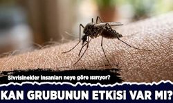Sivrisinekler insanları neye göre ısırıyor? Kan grubunun etkisi var mı?
