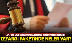 AK Parti Grup Başkanvekili Akbaşoğlu madde madde açıkladı: 12. Yargı Paketi'nde neler var?