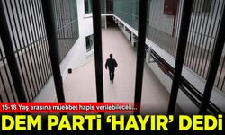 DEM Milletvekili Beritan Güneş, suç işleyen çocukların yargılanmasına karşı çıktı