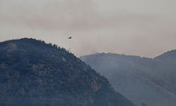 Fethiye'deki orman yangınına müdahale sürüyor