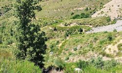 Antalya'da araç uçuruma yuvarlandı: 5 ölü, 2 yaralı