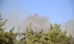 Fethiye'de orman yangını çıktı