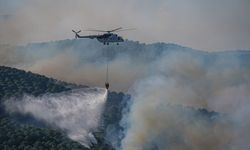 Balıkesir'in Gömeç ilçesindeki orman yangınına müdahale sürüyor