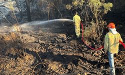 Antalya'nın Kumluca ilçesinde çıkan orman yangını kontrol altına alındı