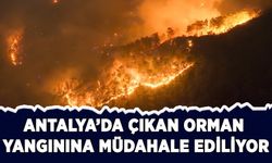 Antalya'da ormanlık alanda çıkan yangına müdahale ediliyor