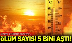 Almanya'da aşırı sıcakların bilançosu ağırlaştı: 5 bini aşkın ölüm