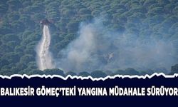 Balıkesir Gömeç'teki orman yangınına müdahale sürüyor