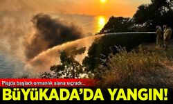 İstanbul Büyükada'daki bir plajda yangın