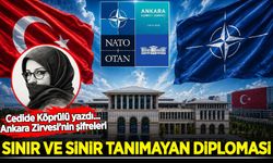 Cedide Köprülü yazdı: Sınır ve sinir tanımayan diplomasi