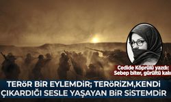 Cedide Köprülü yazdı: Sebep biter, gürültü kalır