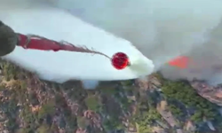 Muğla'da orman yangını