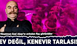Yönetmen Ezel Akay'ın evinden şok görüntüler: Ev değil, kenevir tarlası!