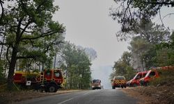 Fransa'da Fontainebleau Ormanı'nda 1900 hektardan fazla alan yandı