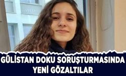 Gülistan Doku soruşturmasında 15 gözaltı