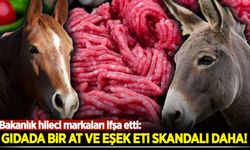 Gıdada bir at ve eşek eti skandalı daha! Bakanlık hileci markaları ifşa etti