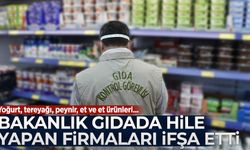 Bakanlık gıdada hile yapan markaları ifşa etti: Yoğurt, tereyağı, peynir, et ve et ürünleri...