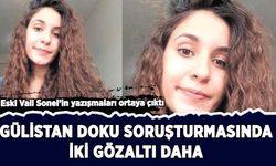 Gülistan Doku soruşturmasında iki gözaltı daha