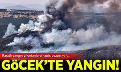 Göcek'teki orman yangınında ihmal iddiası