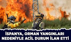 İspanya, orman yangınları nedeniyle "acil durum" ilan etti