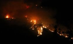Kaş'taki orman yangınına müdahale sürüyor