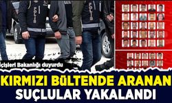 İçişleri Bakanlığı duyurdu: Uluslararası ve ulusal düzeyde aranan 54 suçlu yakalandı