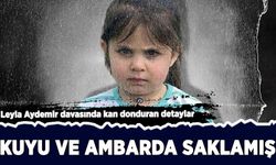 Leyla Aydemir davasında kan donduran detaylar: Kuyu ve ambarda saklamı!