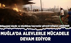 Muğla'nın Seydikemer ilçesindeki orman yangınına müdahale ediliyor