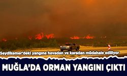 Muğla'nın Seydikemer ilçesinde orman yangını çıktı