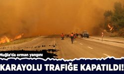 Muğla'da orman yangını: Fethiye - Antalya yolu araç geçişine kapatıldı
