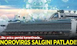 Lüks yolcu gemisinde Norovirüs salgını patladı, gemi karantinada!