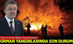 Tarım ve Orman Bakanı Yumaklı açıkladı: Orman yangınlarında son durum