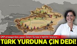 Özlem Gürses'in Çin güzellemesine yazar Ozan Pekgöz'den sert tepki