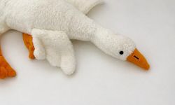 Bakanlık duyurdu: Peluş kaz oyuncağı piyasadan toplatılıyor