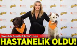 Savunduğu Köpekler Eda Ece'yi Isırdı