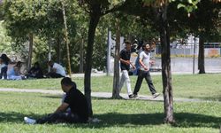 Güneydoğu'da termometreler 45 dereceyi gösterdi