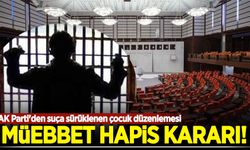 AK Parti'den suça sürüklenen çocuk düzenlemesi