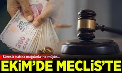 Adalet Bakanı Akın Gürlek 'süresiz nafaka' düzenlemesi için ekim ayını işaret etti