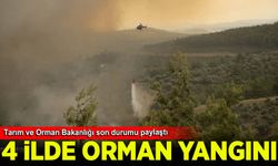 Tarım ve Orman Bakanlığı 4 ildeki orman yangınları hakkında son durumu paylaştı