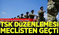 TSK ile ilgili düzenlemeleri içeren kanun teklifi Meclis'ten geçti