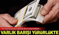 Maliye, varlık barışı uygulamasının detaylarını paylaştı