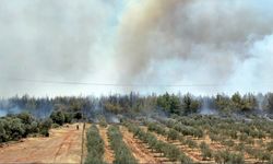 Antalya'da orman yangını: Evler tahliye edildi