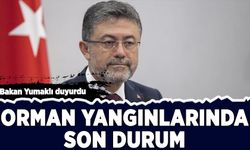 Bakan Yumaklı duyurdu: Orman yangınlarında son durum!