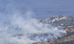 Balıkesir'in Erdek ilçesinde makilik ve zeytinlik alanda yangın çıktı