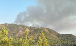 Marmaris'te çıkan orman yangınına müdahale ediliyor