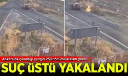 Ankara'da çıkardığı yangın 250 dönümlük alanı yaktı: Tutuklandı