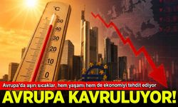 Avrupa'da aşırı sıcaklar, hem yaşamı hem de ekonomiyi tehdit ediyor