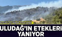 Bursa'da 3 ayrı bölgede orman yangını: Uludağ'ın etekleri yanıyor!