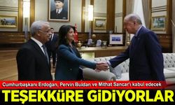 Cumhurbaşkanı Erdoğan, Pervin Buldan ve Mithat Sancar'ı kabul edecek